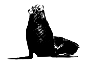 Illustration Design by sh28734