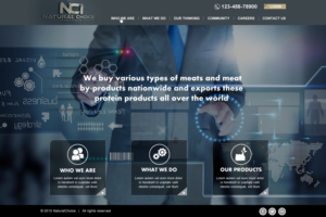 Web Design by Infinitive Technology for Natural Choice International.Inc  | Design: #6935352