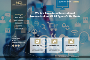Web Design by Infinitive Technology for Natural Choice International.Inc  | Design: #6935353