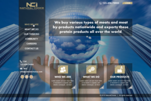 Web Design by Infinitive Technology for Natural Choice International.Inc  | Design: #6935354