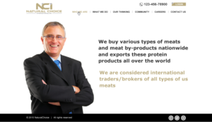 Web Design by Infinitive Technology for Natural Choice International.Inc  | Design: #6947922