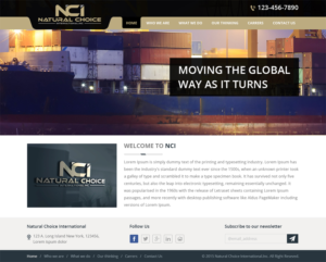 Web Design by Creative Usha for Natural Choice International.Inc  | Design: #6915916