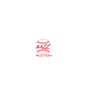 Logo Design by Muhammad Shoaib Younus