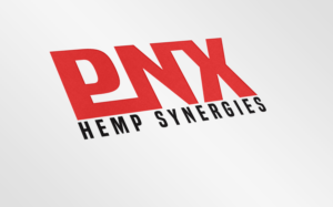 Logo Design by KHDesigns