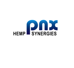 Logo Design by Chandra