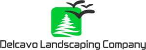 Logo Design by Vollsvue Studio
