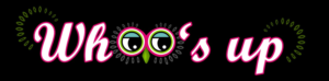 Diseño Gráfico por Chinmayees para este proyecto | Diseño: #7271533