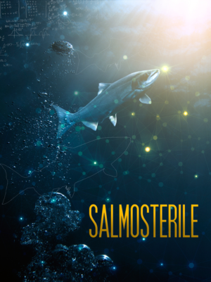 Poster Design by BadCat for this project | Design #6986342