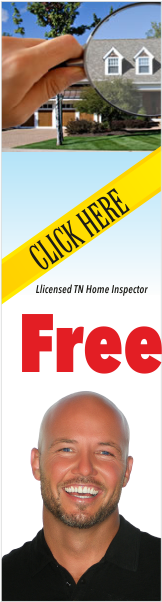 Banner Ad Design by Pint & Promotional Projects for this project | Design: #6898374