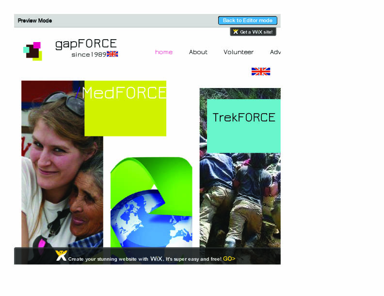 Web Design by Premjith for Gapforce | Design #1792278
