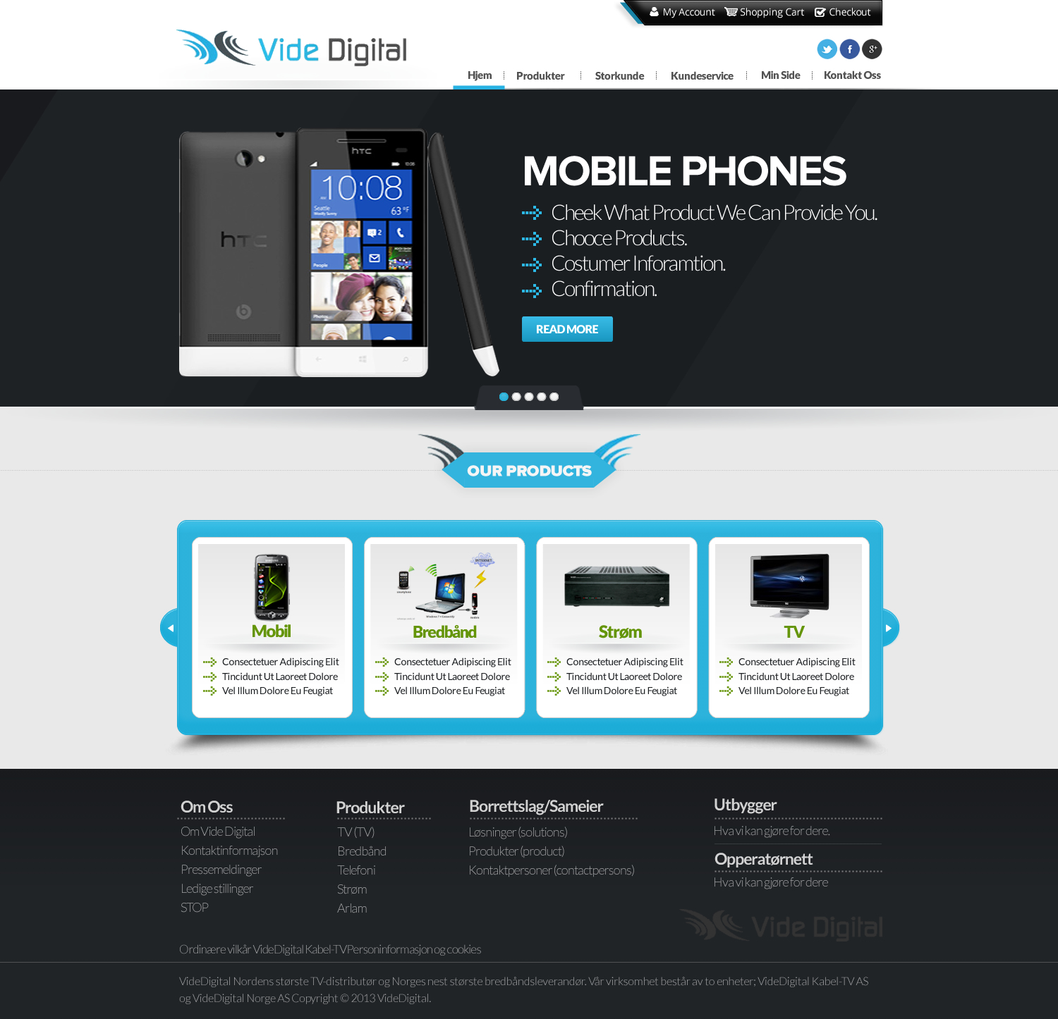 Web Design by TechWise for Vide Digital AS | Design #2545382