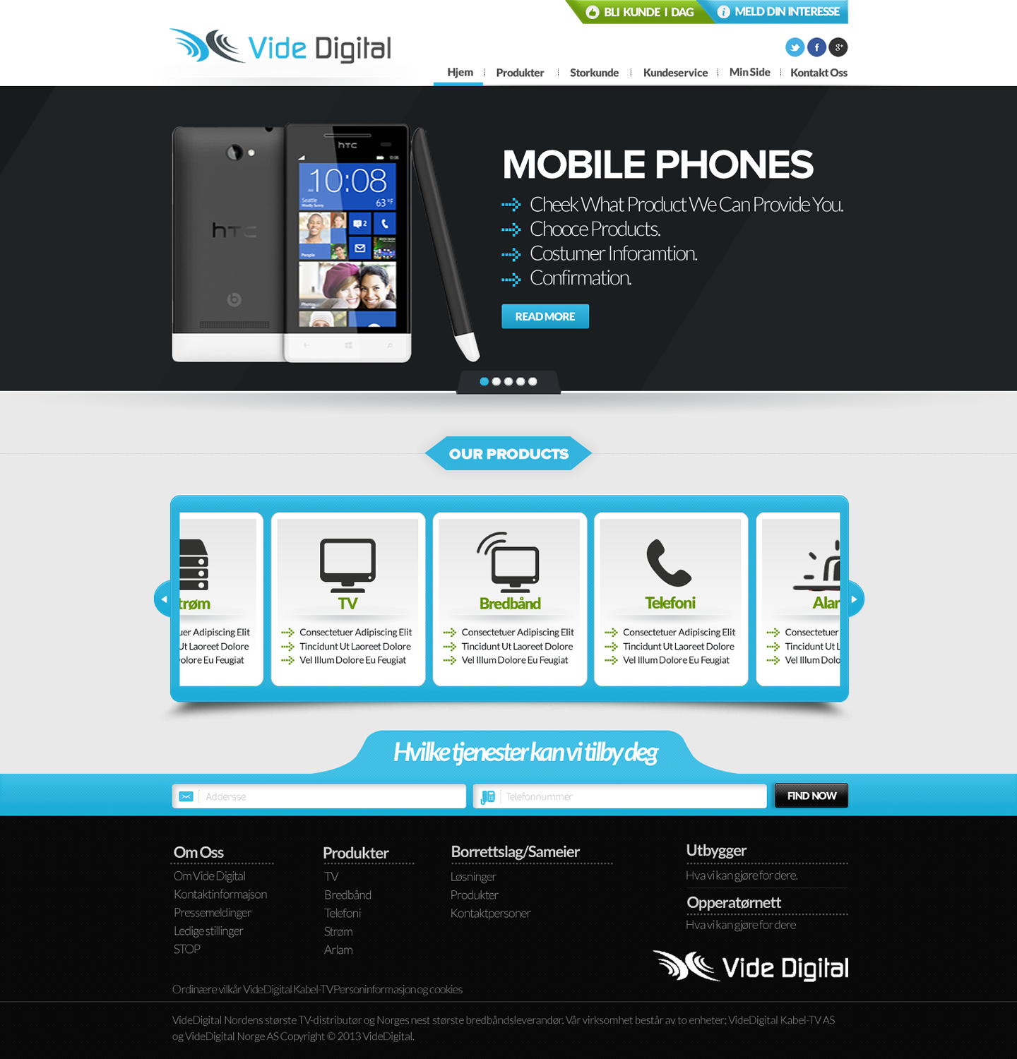 Web Design by TechWise for Vide Digital AS | Design #2562715