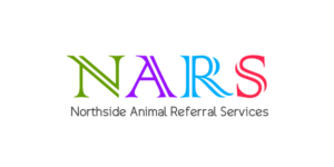 Logo Design by Amit