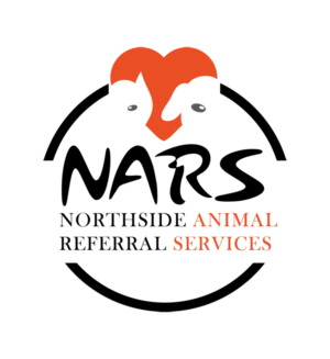 Logo Design by Amit for this project | Design: #6913741