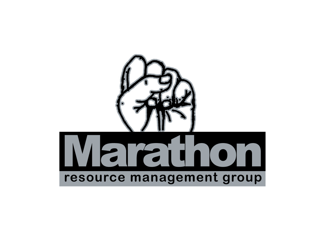 Logo-Design von shahid naqvi für dieses Projekt | Design #1838802