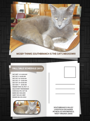 Postcard Design by ESolz Technologies