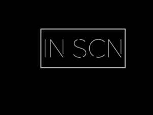 Logo Design by DesignPlus for In Scn | Design: #6917239