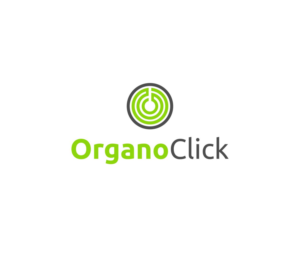 Logo Design by N B