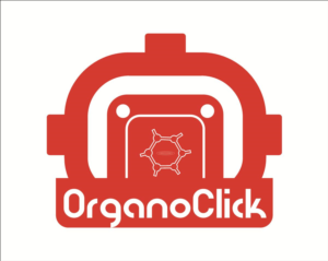 Logo Design by DG