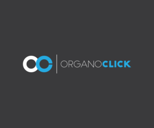 Logo Design by finedesigns