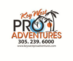 Logo Design by Hot Rod