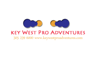 Logo Design by pb