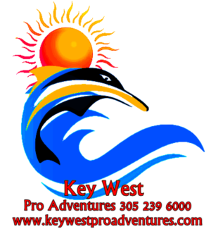 Logo Design by petraendennis