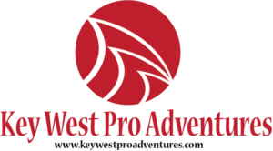 Logo Design by payipoy