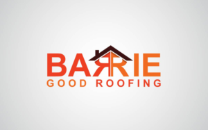Logo Design by anushka_snigdha for this project | Design: #6931515
