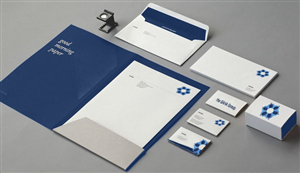 Logo Design by Juni