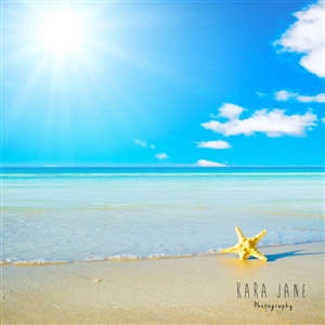 Logo Design by NZDesigns for Kara Jane Photography | Design: #1793876