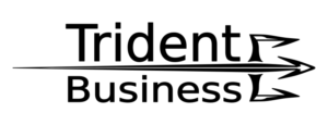 Logo Design by effedi