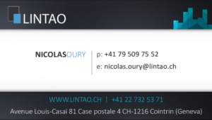 Business Card Design by Joshua Carmichael for Lintao SA | Design #6974796