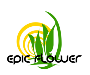 Logo Design by kmwg