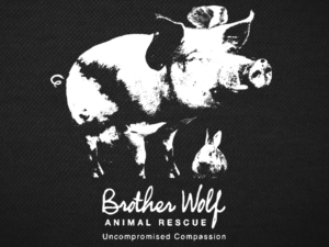 T-shirt Design by db1404 for BWAR | Design: #6968053