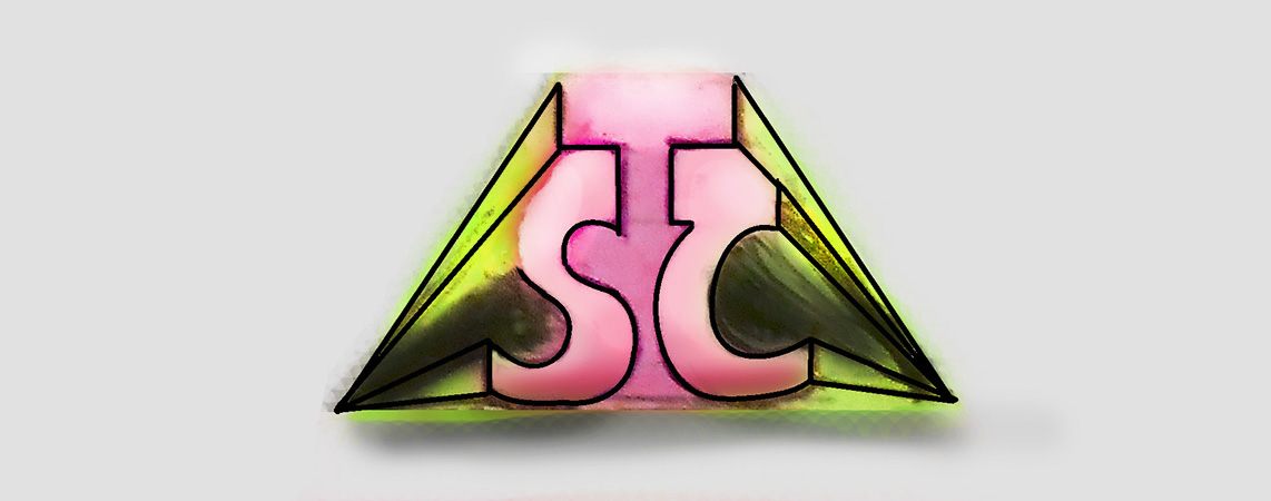 Logo Design by Ashley Wiermaa for The Southtown Collective | Design #1853230