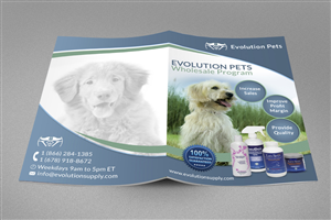 Brochure Design by ESolz Technologies
