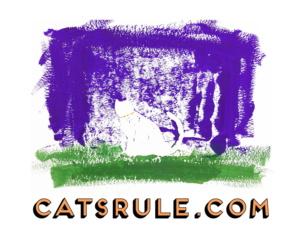T-shirt Design by atelierscheidegger