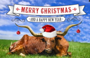 Card Design by AS for Minuteman Press Post Oak | Design: #7033006