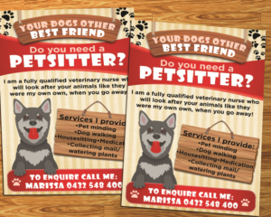 pet flyer designs pet flyer png
