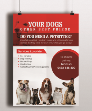 pet minder needs a flyer design