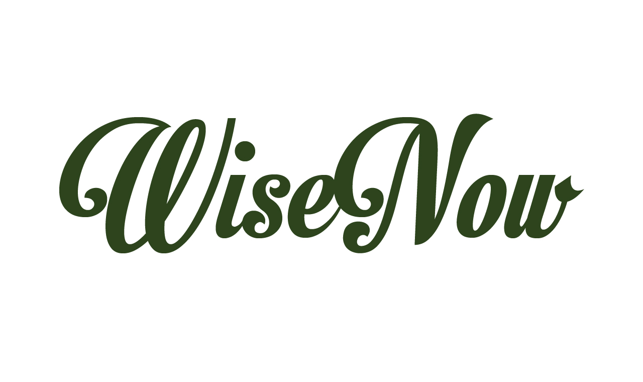Logo Design by Elizabeth Design LLC for WiseNow | Design #1807161