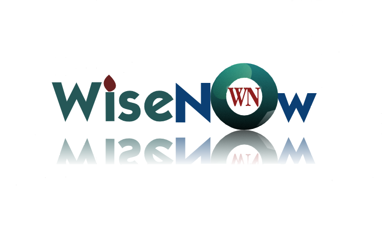 Logo Design by goblin x for WiseNow | Design #1820179