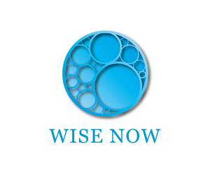 Logo Design by Ingrid Jones for WiseNow | Design: #1827954