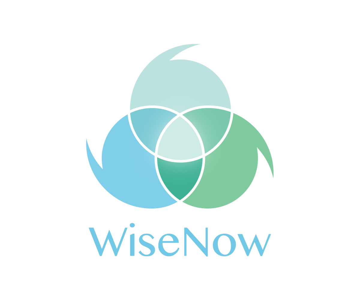 Logo Design by Ingrid Jones for WiseNow | Design: #1831819