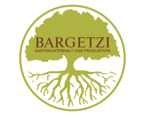 Logo-Design von Lilu Design für webgearing ag | Design: #6954231