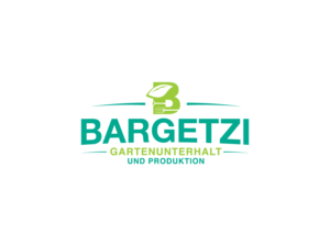 Logo Design by BitsNDigits