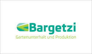 Logo Design by dkthedon for webgearing ag | Design #7057443