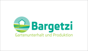 Logo Design by dkthedon for webgearing ag | Design: #7057444