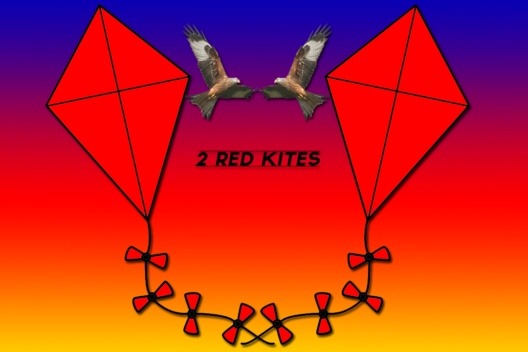 Logo Design by Brandon Allen for 2 Red Kites | Design #1791483